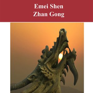 Shen Zhan Gong for Students